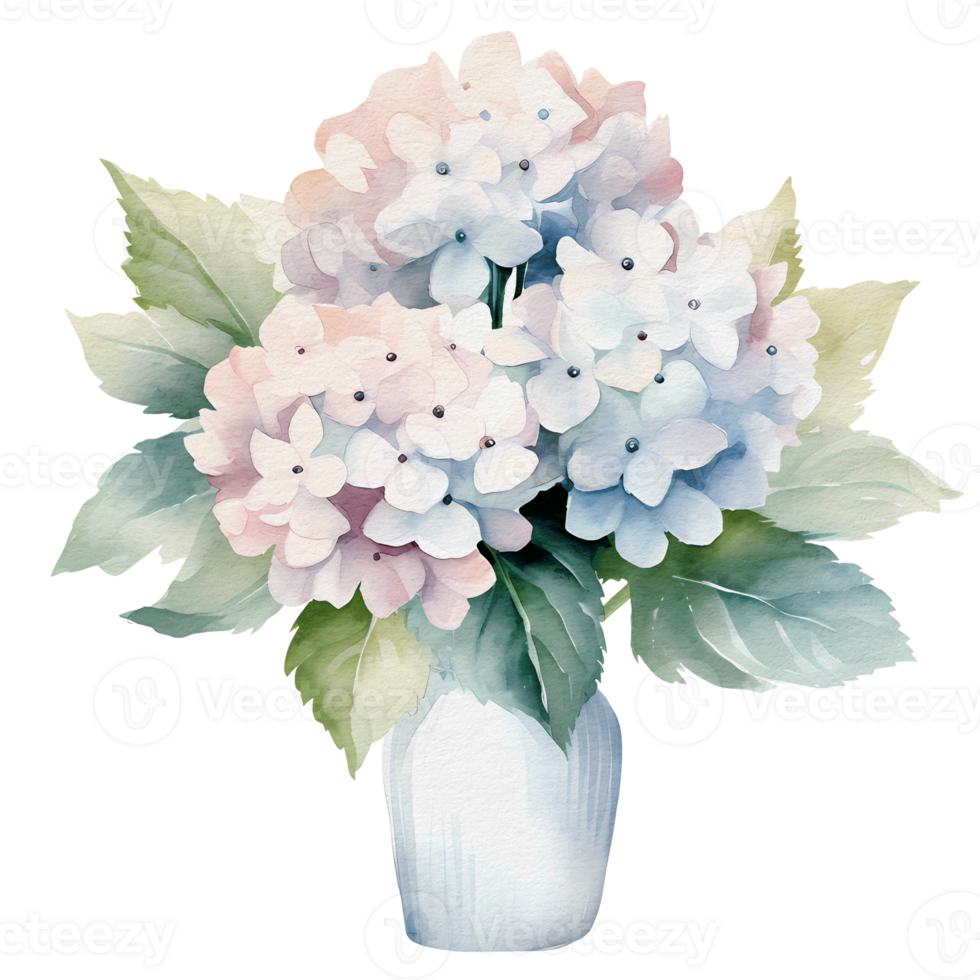 beautiful watercolor hydrangea flower, png
