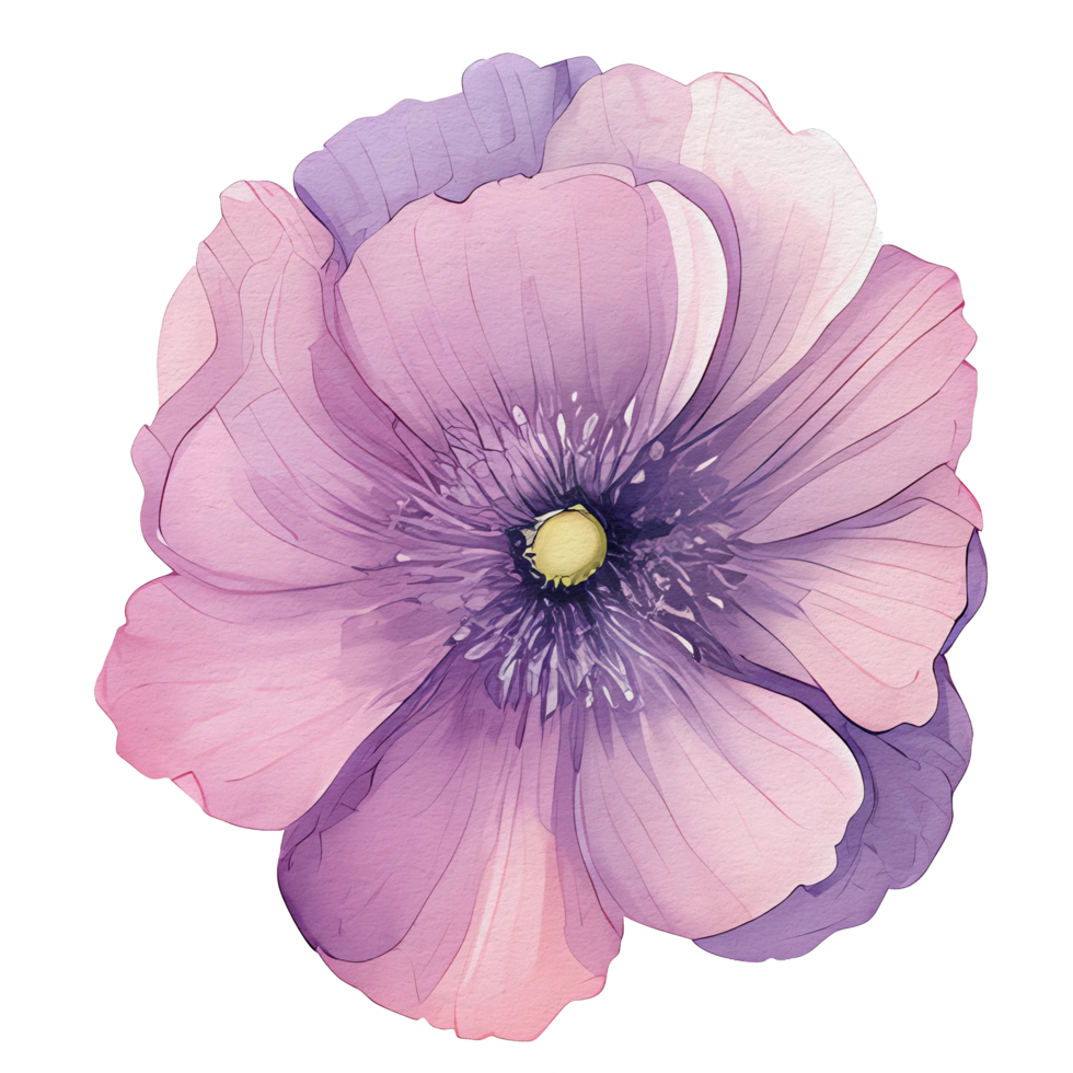 watercolor anemone flower, beautiful floral, AI Generative png