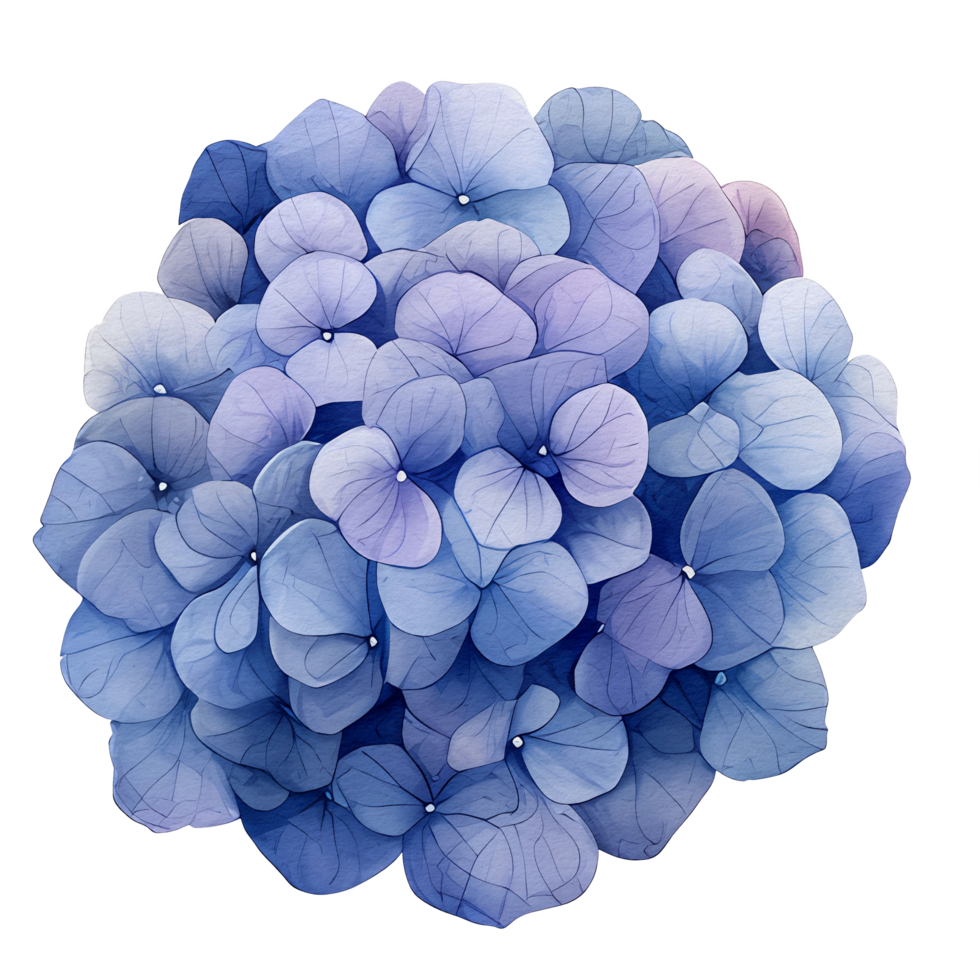 skön vattenfärg hortensia blomma, ai generativ png