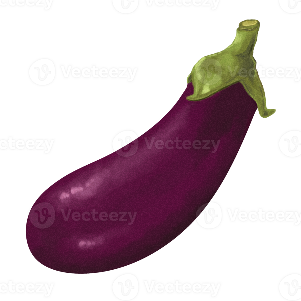 waterverf groenten schilderij aubergine png