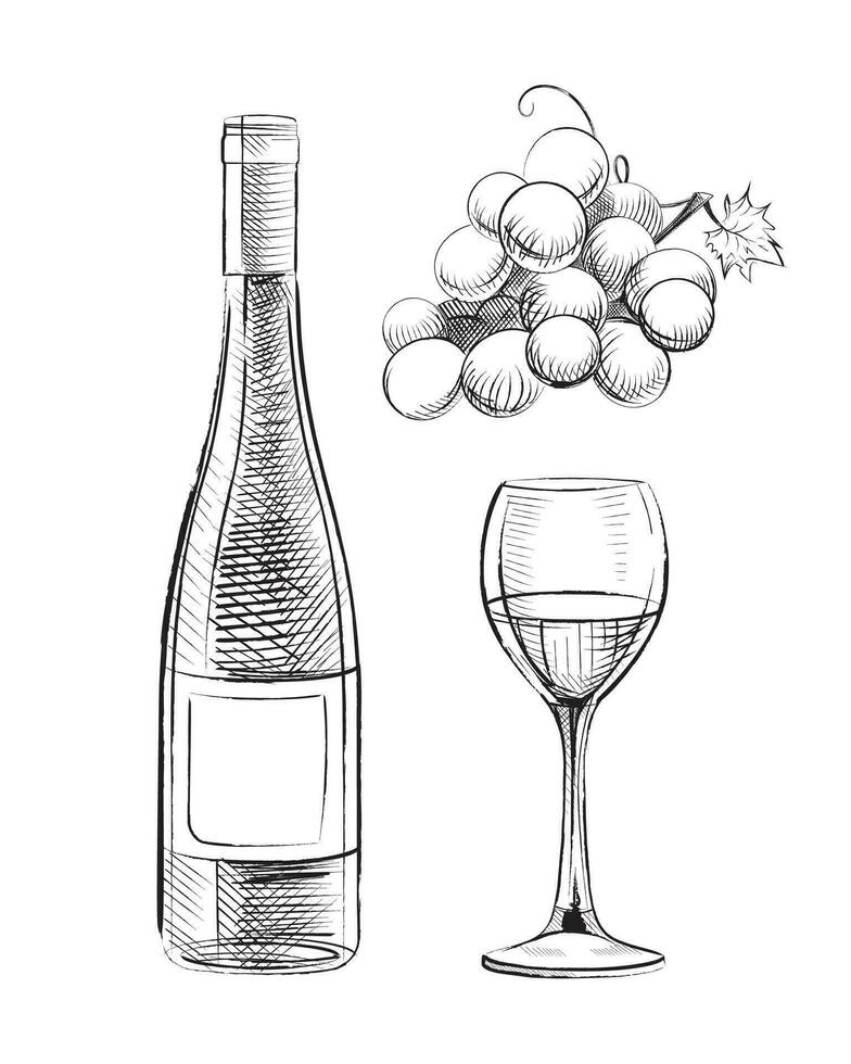 Wine Hand Drawn Set vector