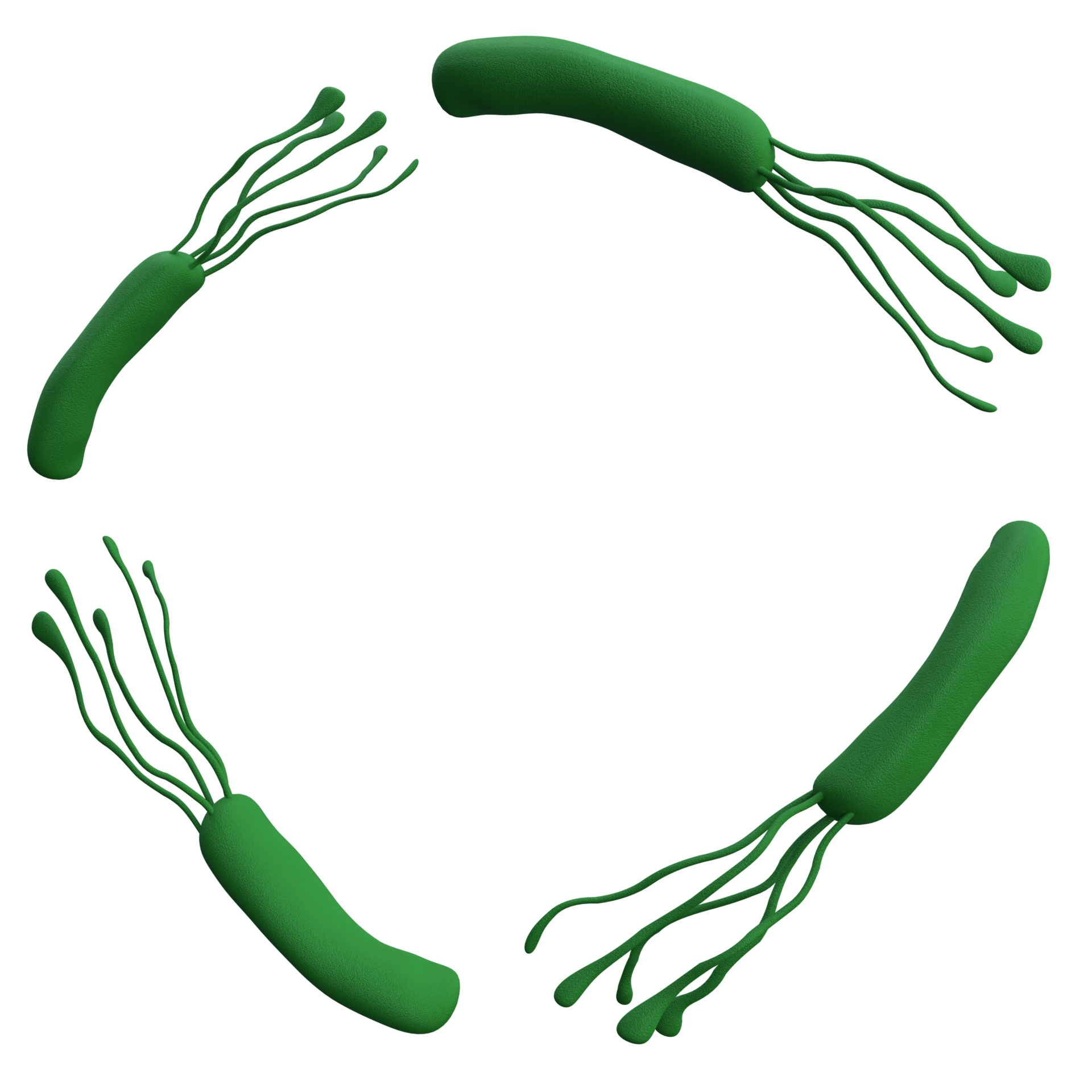 Helicobacter pylori bacteria 3d render realistic frame with place for