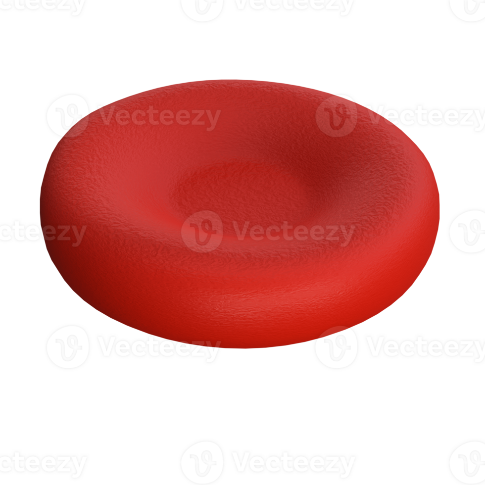 3d erytrocyt of rood bloed cel geneeskunde geïsoleerd transparant png. realistisch afbeelding van hemoglobine voor hematologie, microbiologie Gezondheid menselijk illustratie png