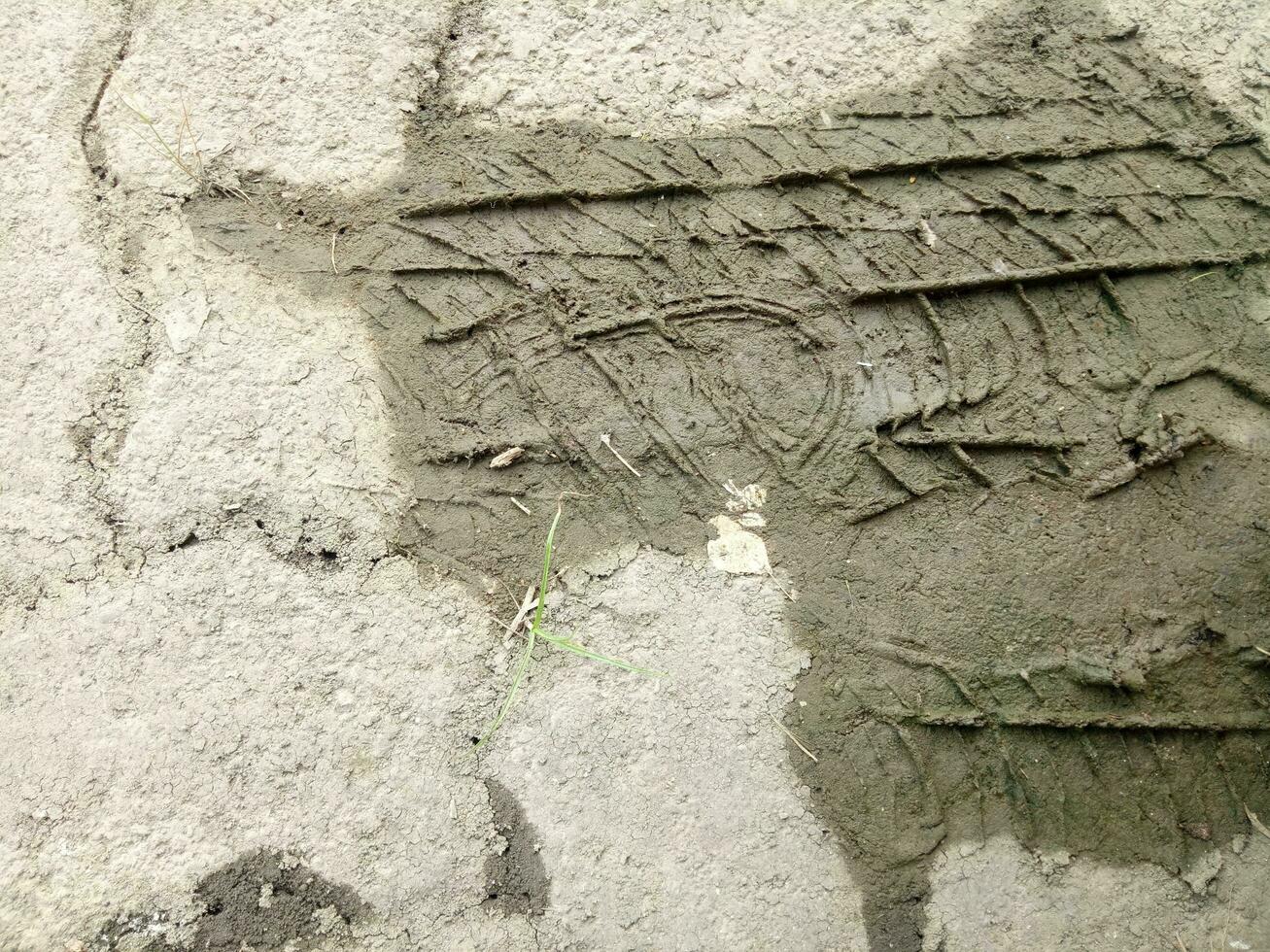 Traces of car tires imprinted in the mud photo