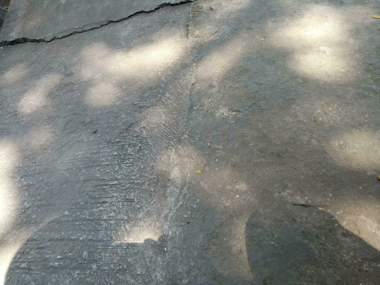 Photo of a floor made of cement with a shade of a shady tree during the day