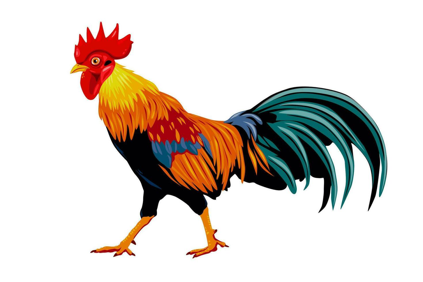 gallo aislado en blanco antecedentes. vector ilustración