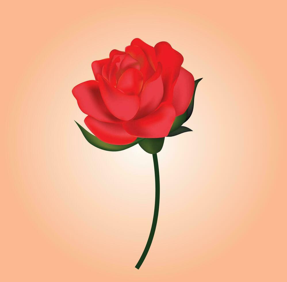 Rose Vector Design