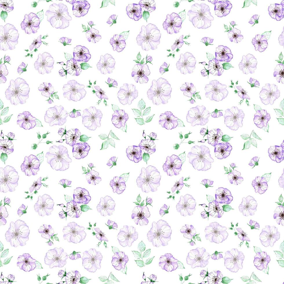 Handdrawn anemone seamless pattern. Watercolor purple flowers with green leaves on the white background. Scrapbook design, typography poster, label, banner, textile. photo