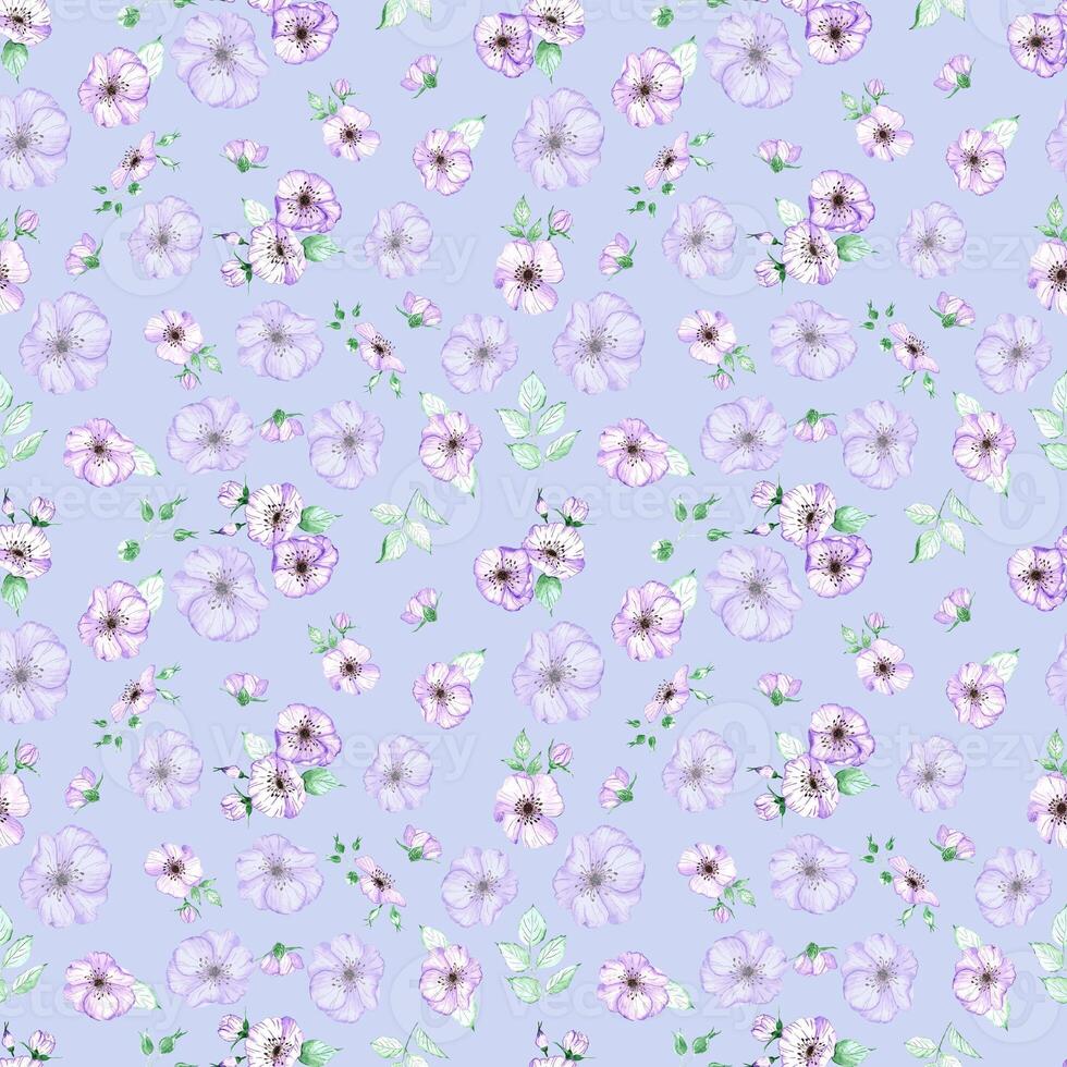 Handdrawn anemone seamless pattern. Watercolor purple flowers with green leaves on the blue background. Scrapbook design, typography poster, label, banner, textile. photo