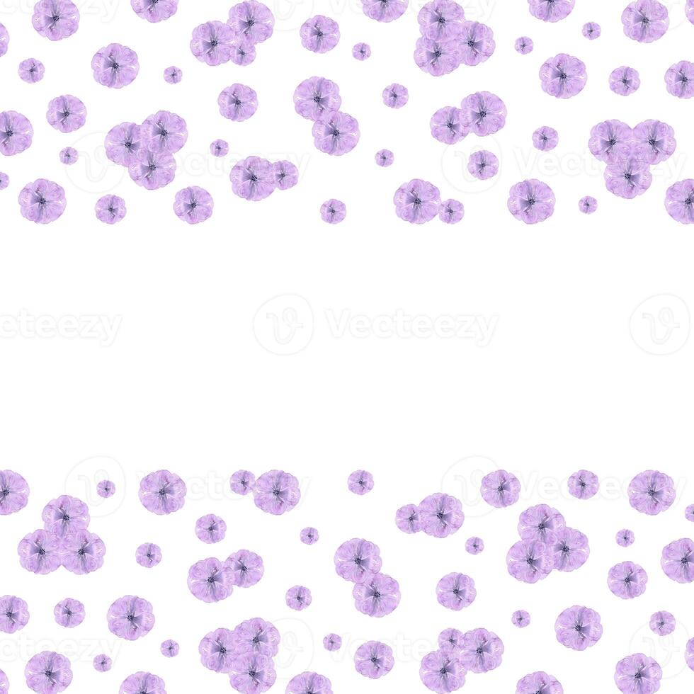 Purple abstract cherry blossom frame boarder. Hand drawn watercolor isolated on white background. Can be used for cards, patterns, label. photo