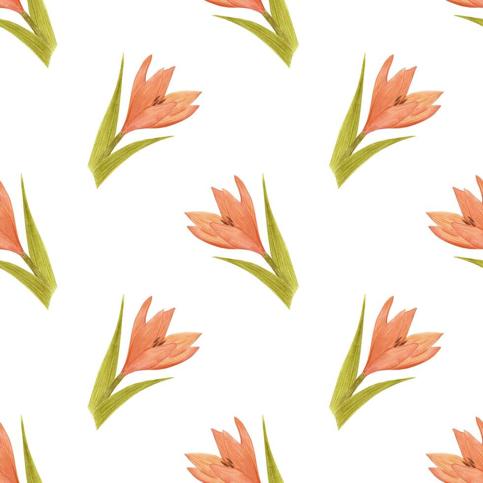 Handdrawn lily seamless pattern. Watercolor orange lily with green leaves on the white background. Scrapbook design elements. Typography poster, label, banner design set, textile. photo