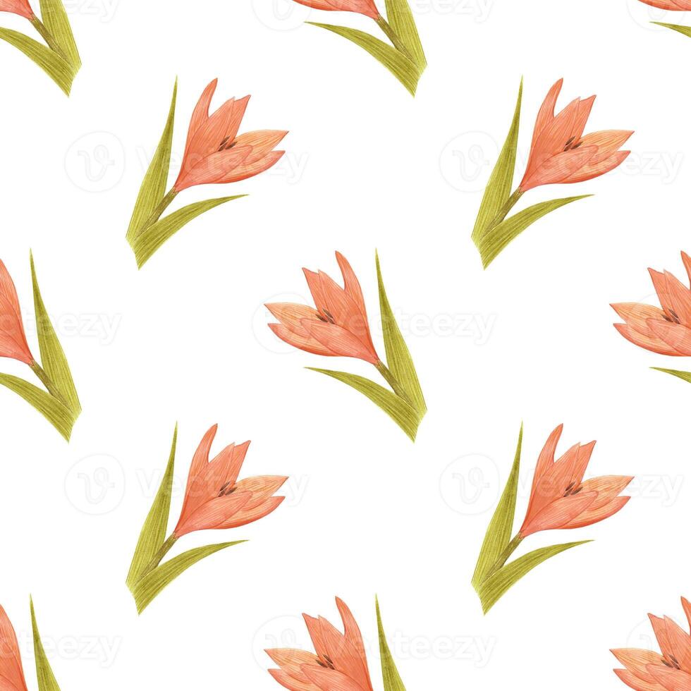 Handdrawn lily seamless pattern. Watercolor orange lily with green leaves on the white background. Scrapbook design elements. Typography poster, label, banner design set, textile. photo