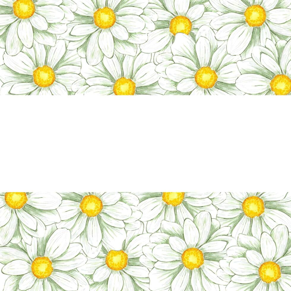 Hand drawn watercolor chamomile frame isolated on white background. Can be used for print, postcard, poster, book decoration and other printed products. photo