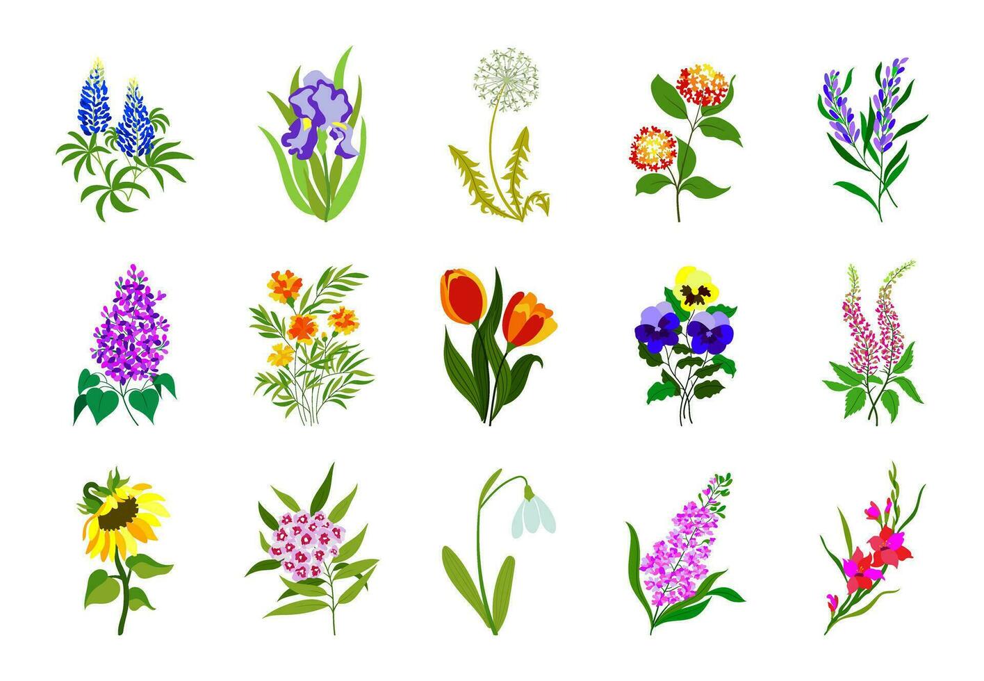 Realistic colored flat flowers. Perfect for illustrations and nature education. vector