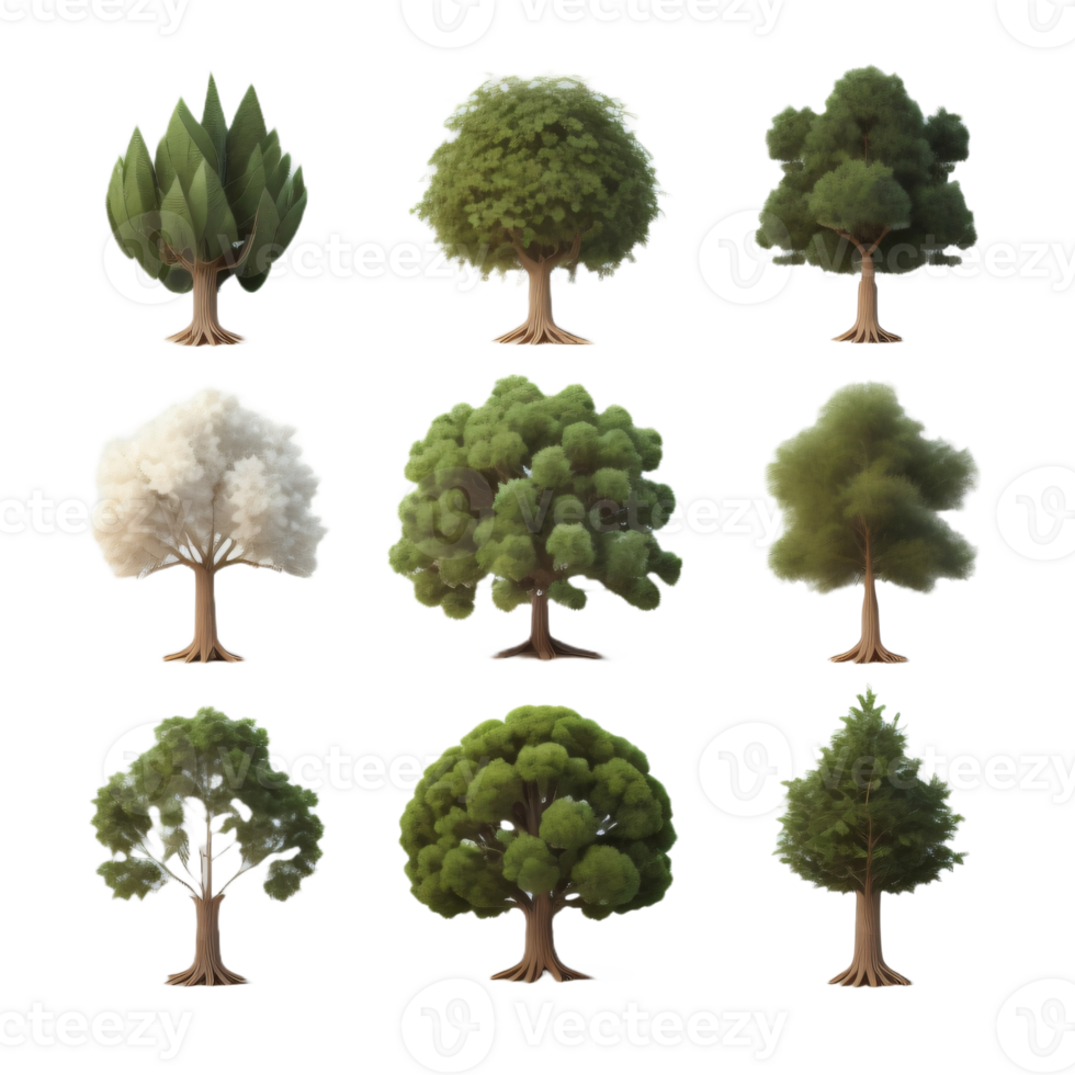 ilustração do árvores em transparente fundo, para ilustração, digital composição, e arquitetura visualização. generativo ai png