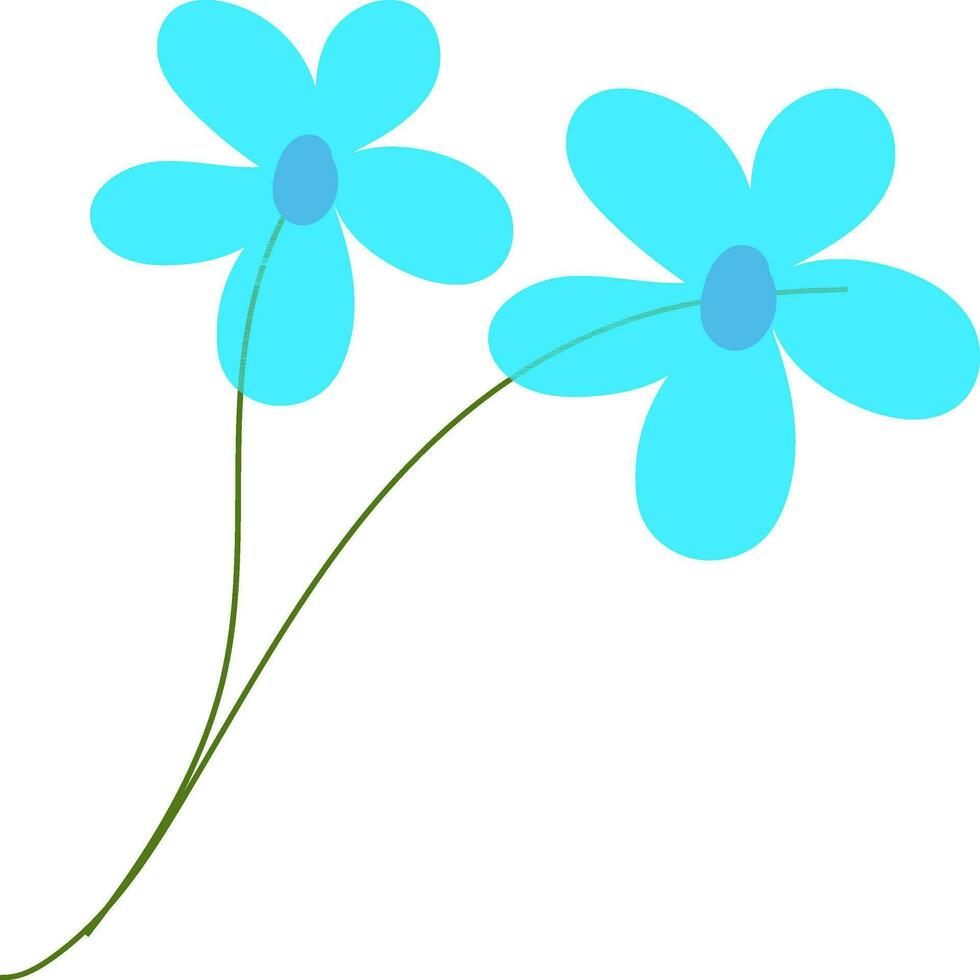 Two flowers on white background. vector