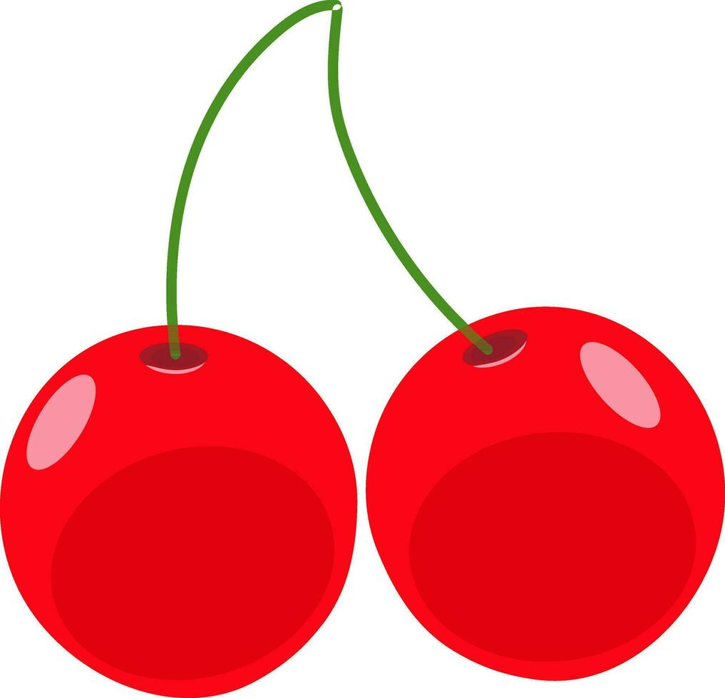 Illustration of red cherries. vector