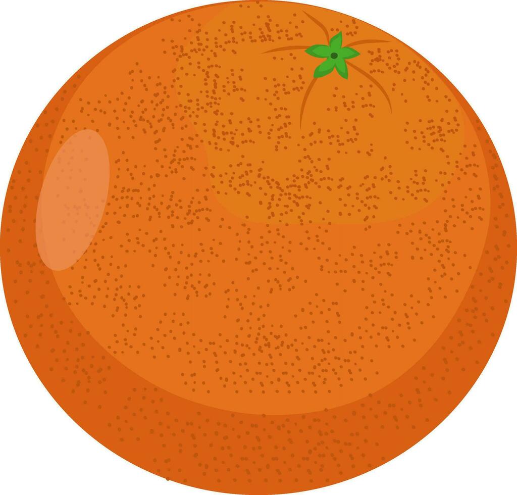 Vector illustration of juicy orange.