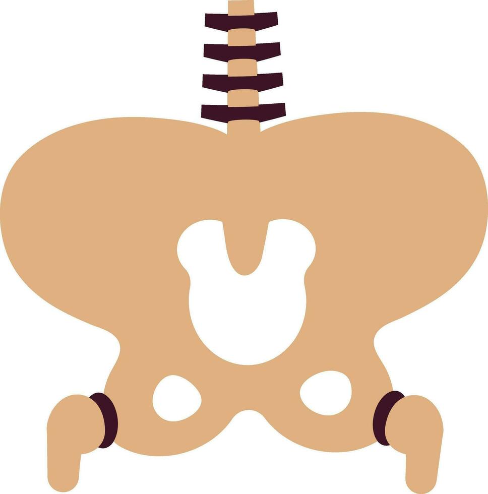 Halloween skeleton bones icon inside body. vector