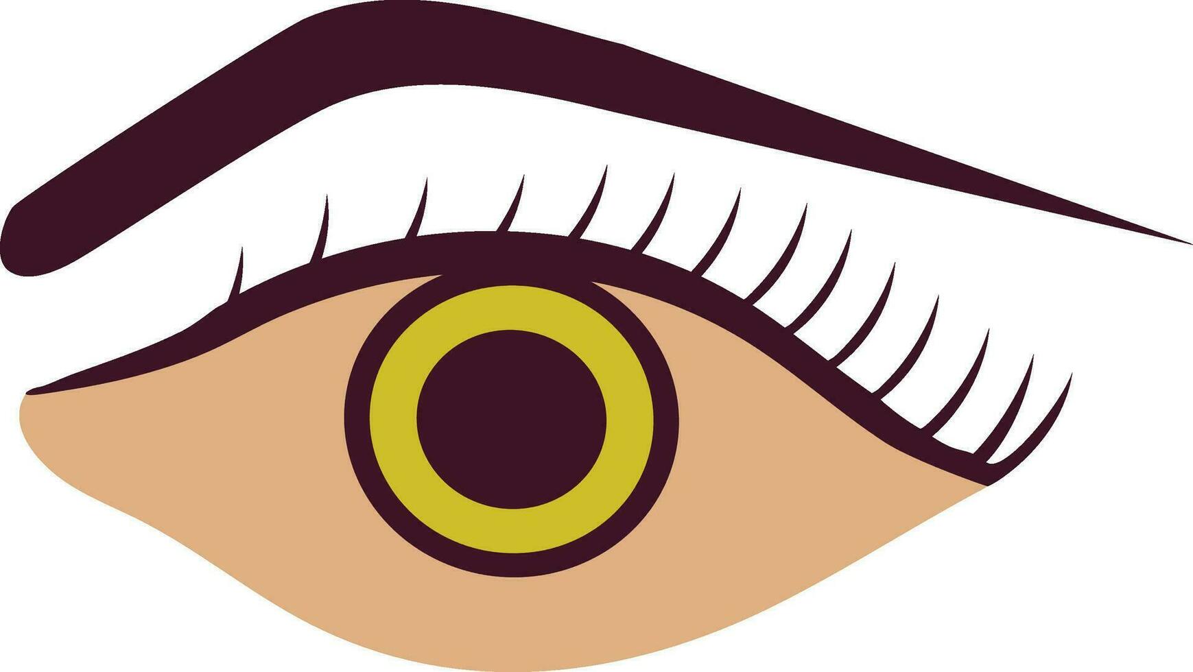 Eye icon with eyebrow in color for human body. vector