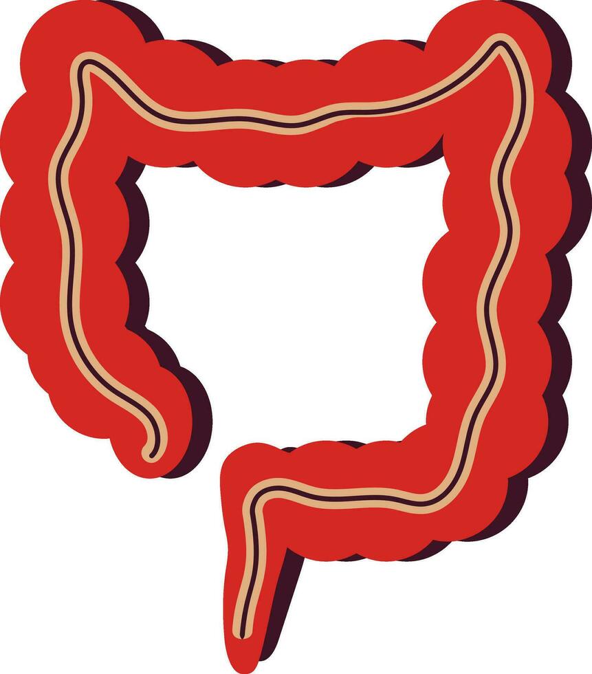 Picture of large intestine icon of body part. vector