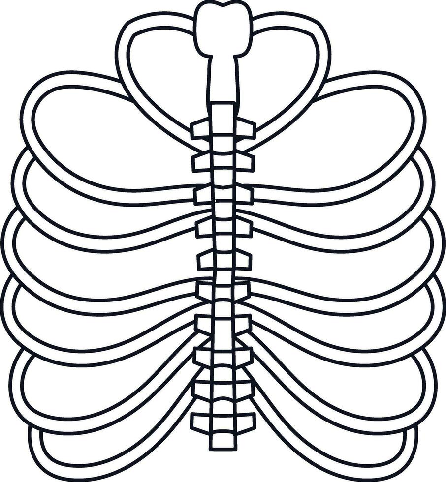 imagen de costillas dentro cuerpo en carrera para proteger corazón. vector