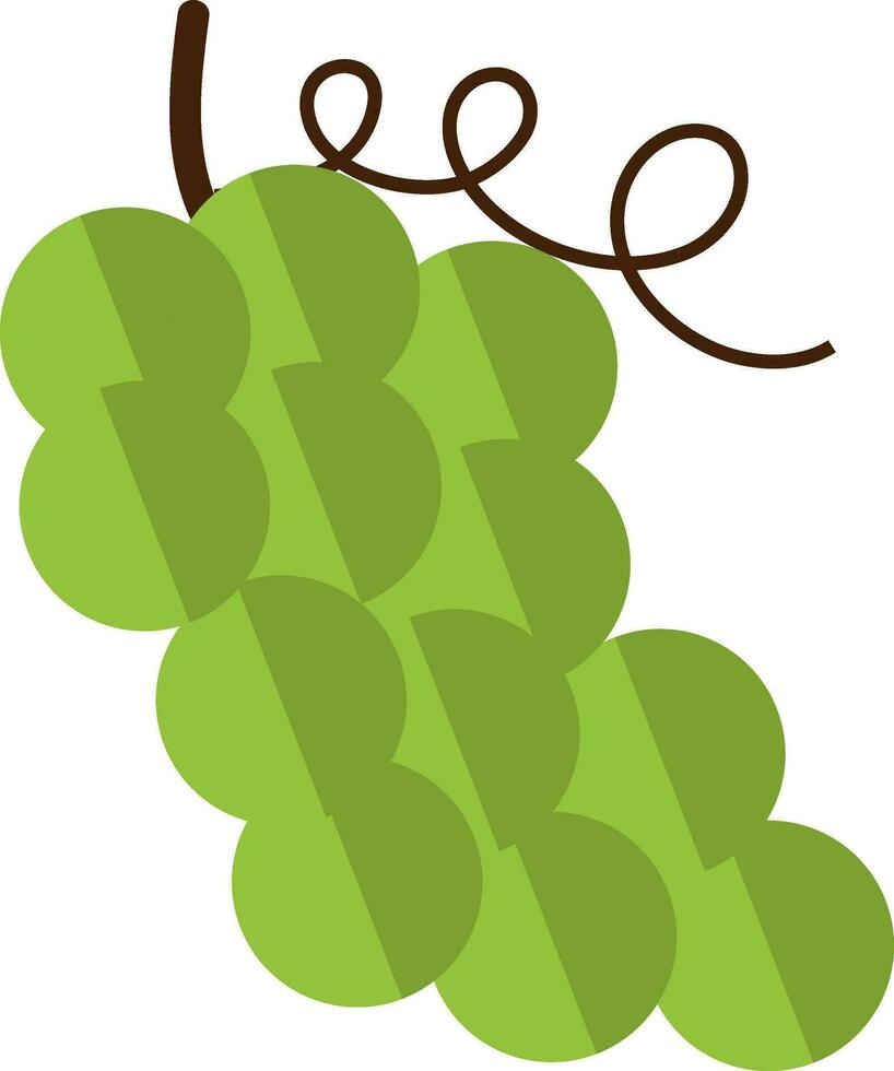 Grapes in green color. vector