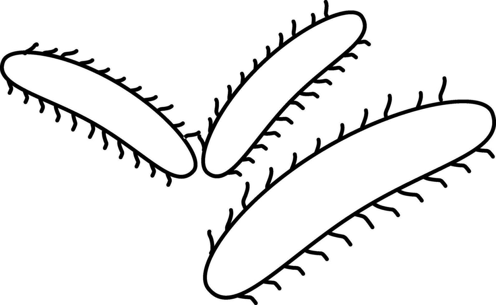Symbol of three bacteria icon in stroke style. vector