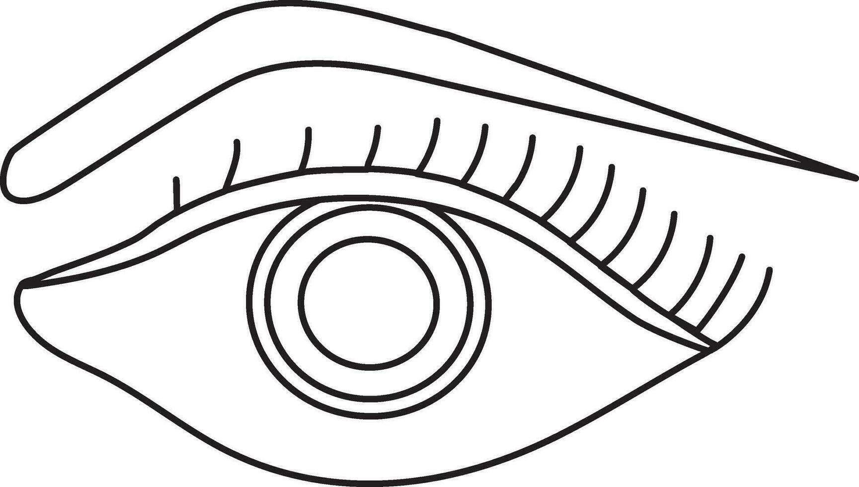 Stroke style of eye icon with eyebrow for human body. vector