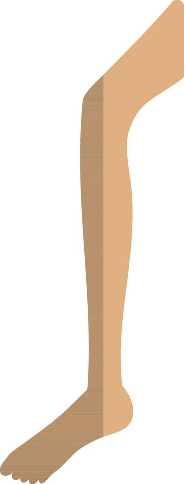 Leg icon in color with half shadow of human body part. vector