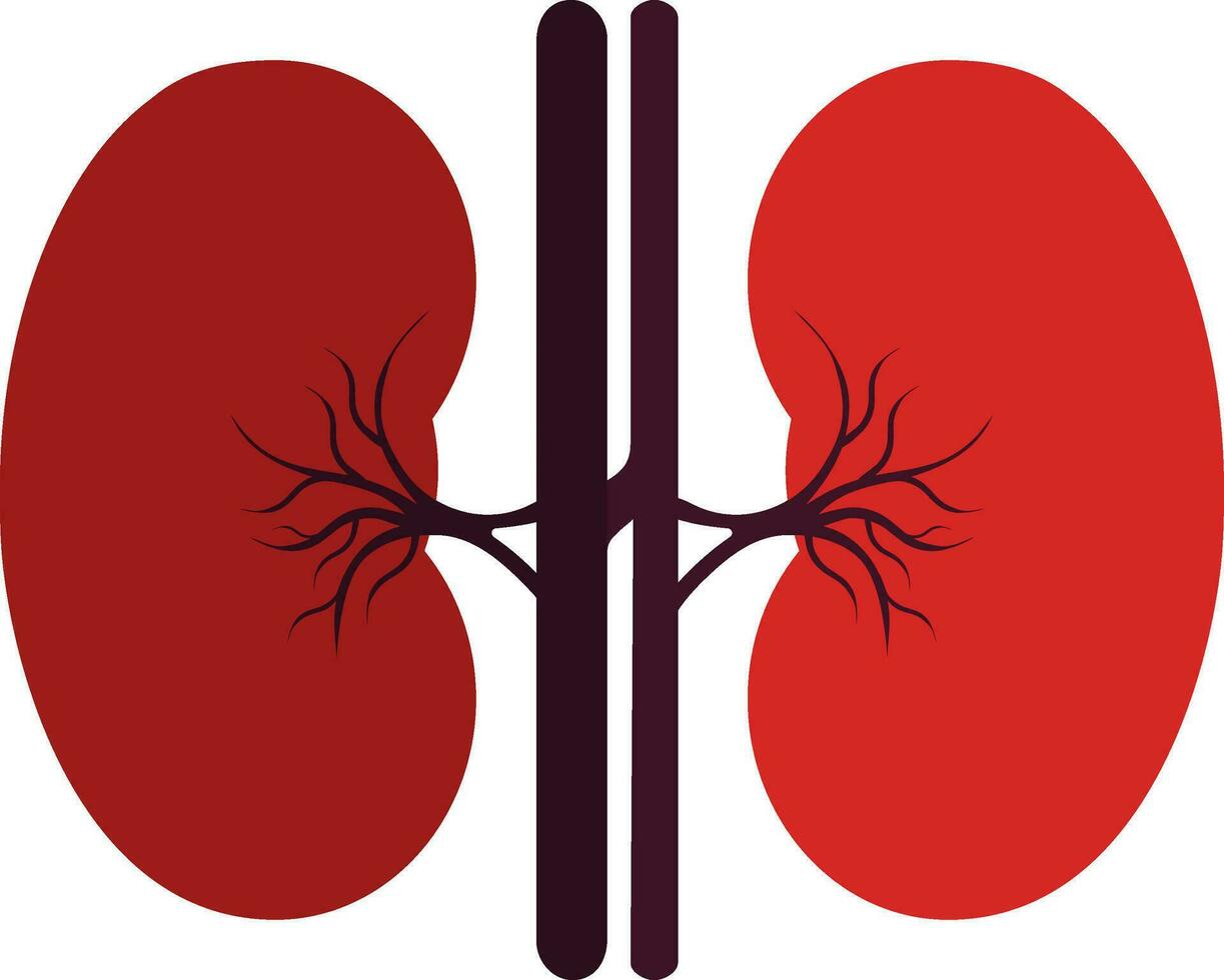 Lungs icon inside human body in half shadow. vector