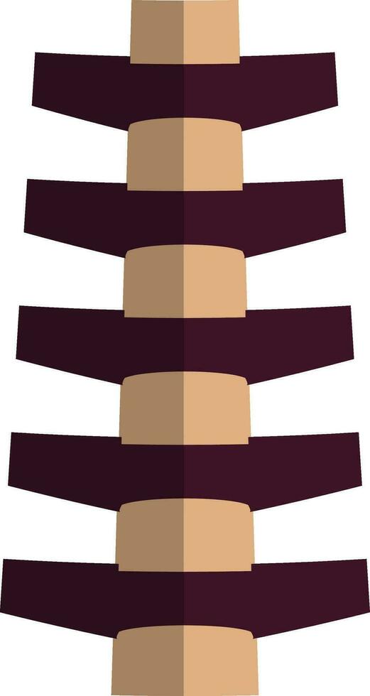 Half shadow of spine icon of body part in isolated. vector