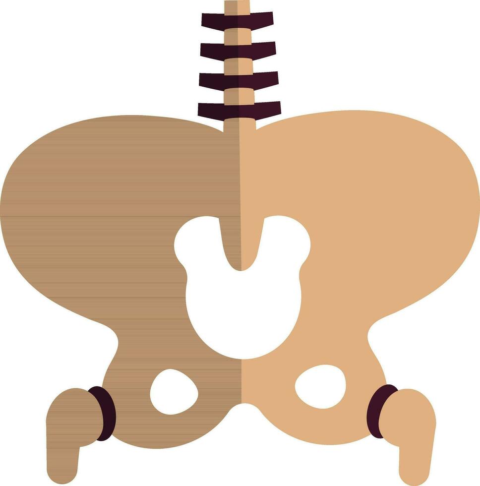 Halloween skeleton bones icon inside body in half shadow. vector