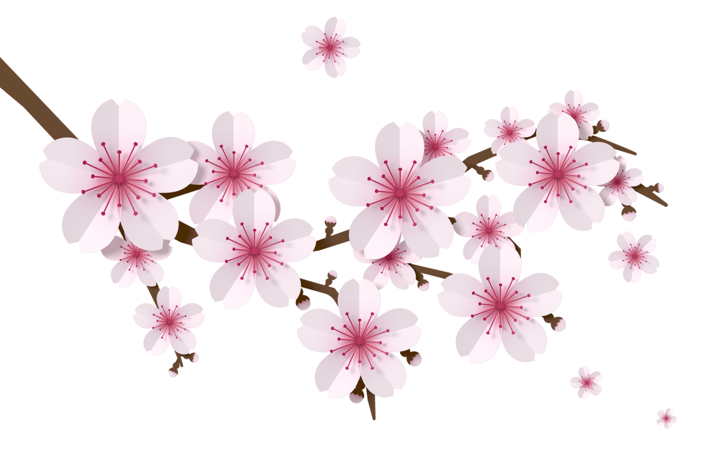 sakura blomma papper stil, 3d tolkning png