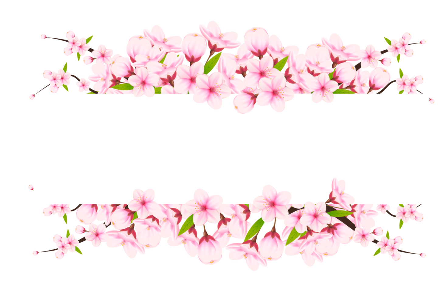 Realistic blooming cherry flowers and petals, cherry blossom. pink sakura flower background. cherry blossom flower blooming png