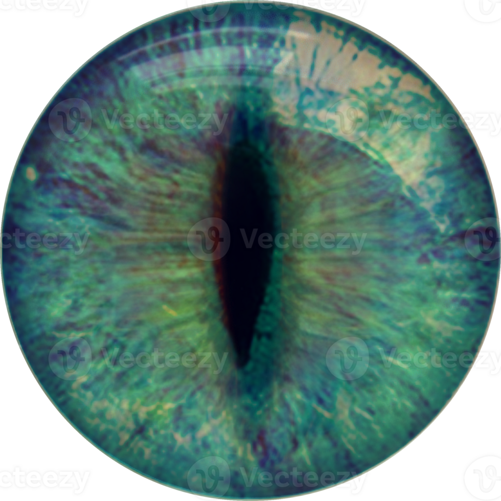 Iris, eye, pupil, icon. Animal, dragon, cat, reptile eyes. Circle, green background. png