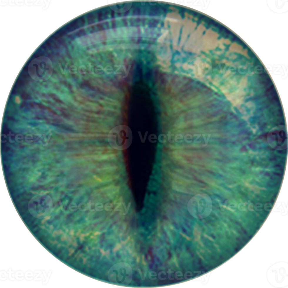 Iris, Auge, Schüler, Symbol. Tier, Drachen, Katze, Reptil Augen. Kreis, Grün Hintergrund. png
