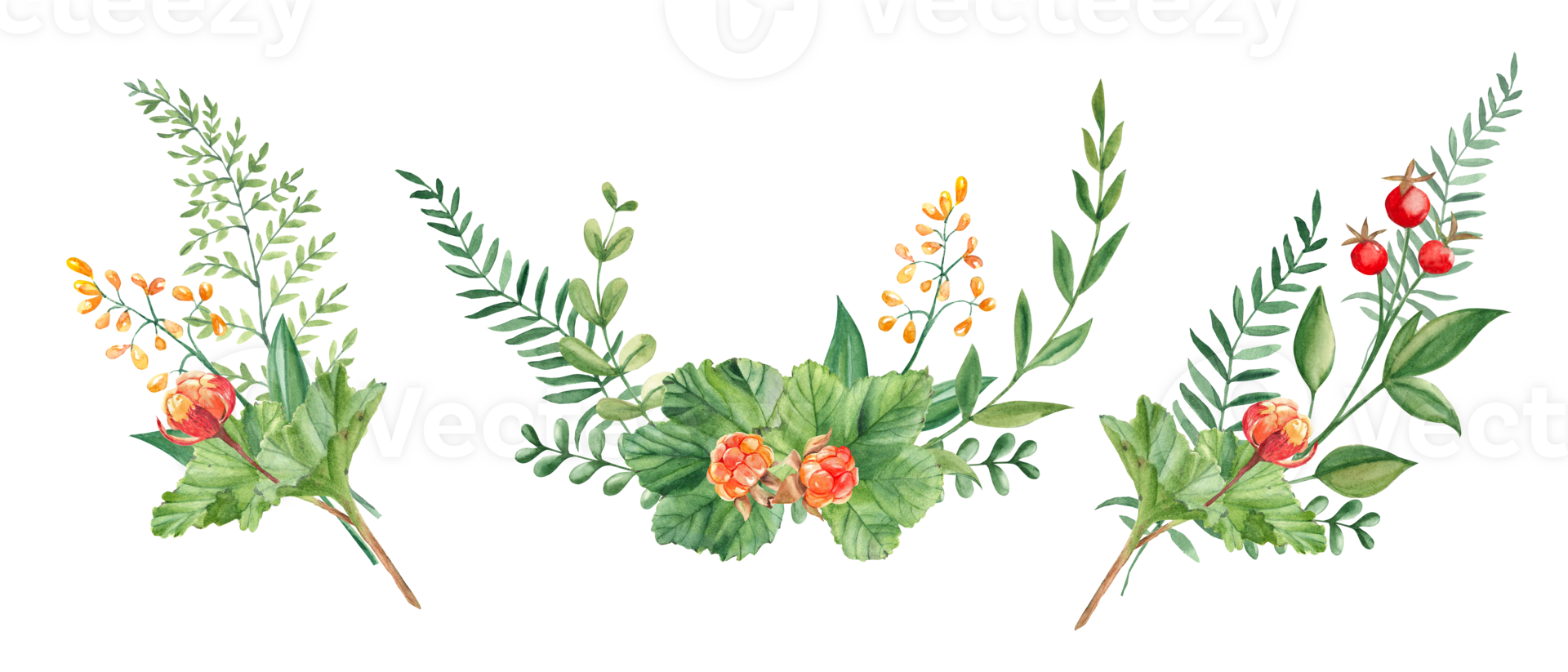 Set of watercolor summer bouquets of green branches, cloudberry, wildflowers and red berries. Botanical hand drawn illustration. Can be used for greeting cards, invitations, floral designs. png