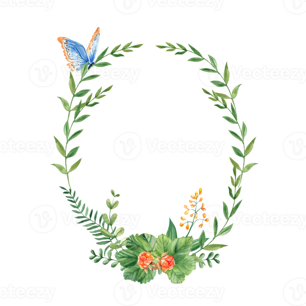 Cloudberry wreath, leaves, berries, green branches and yellow flowers with blue butterfly. Watercolor hand drawn illustration. For greeting cards, invitations, save the date, logos png