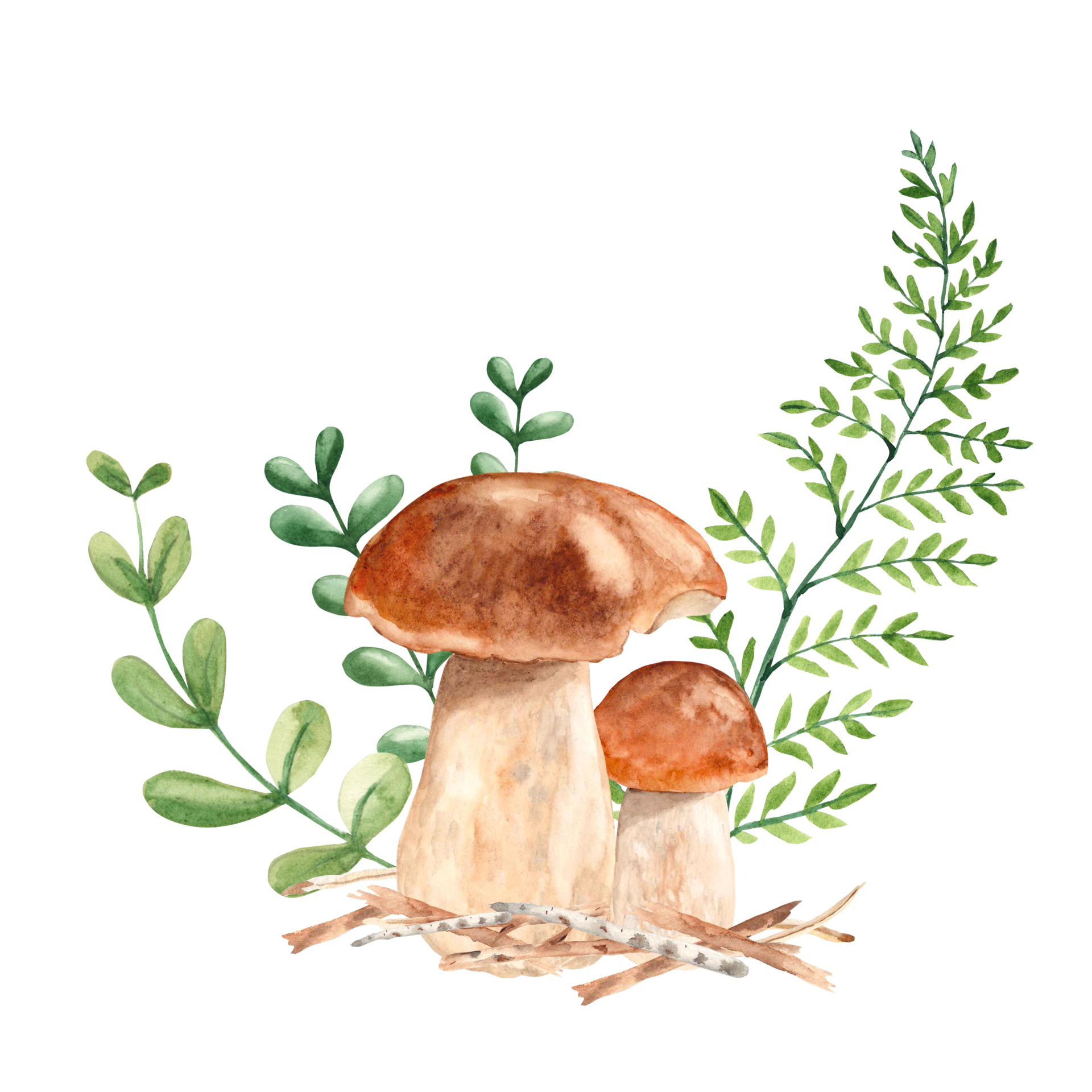 Watercolor forest mushroom illustration and plants Wrapping Paper by Cris  Banana