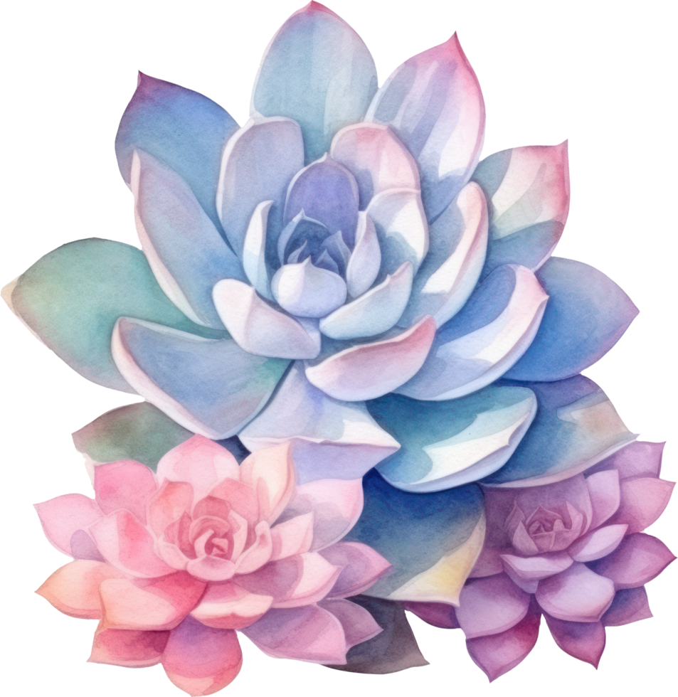 succulent aquarelle illustration. ai généré png