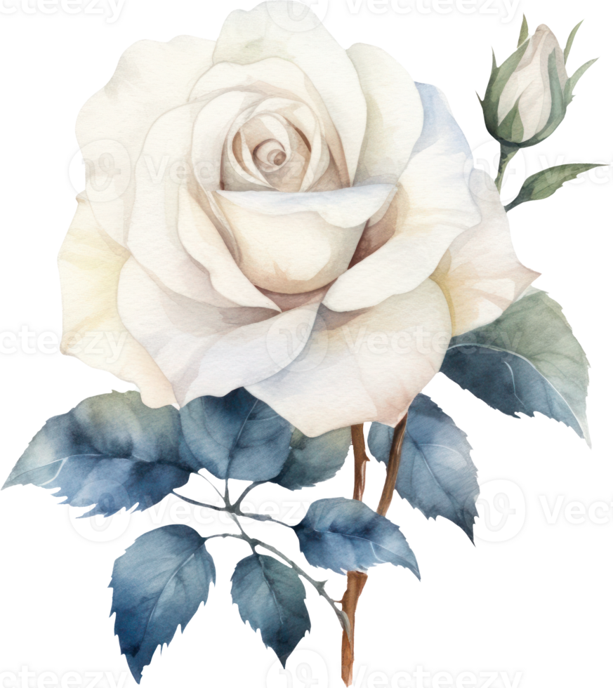 blanc Rose fleur aquarelle. ai généré png