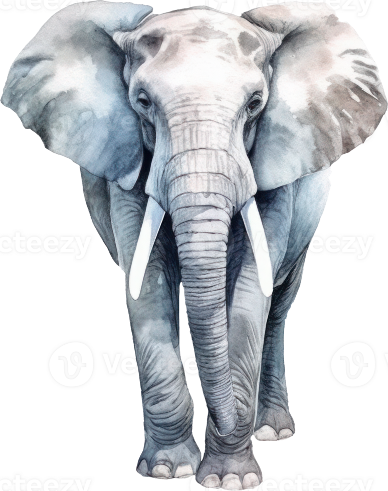 Elephant Watercolor Illustration. AI Generated png