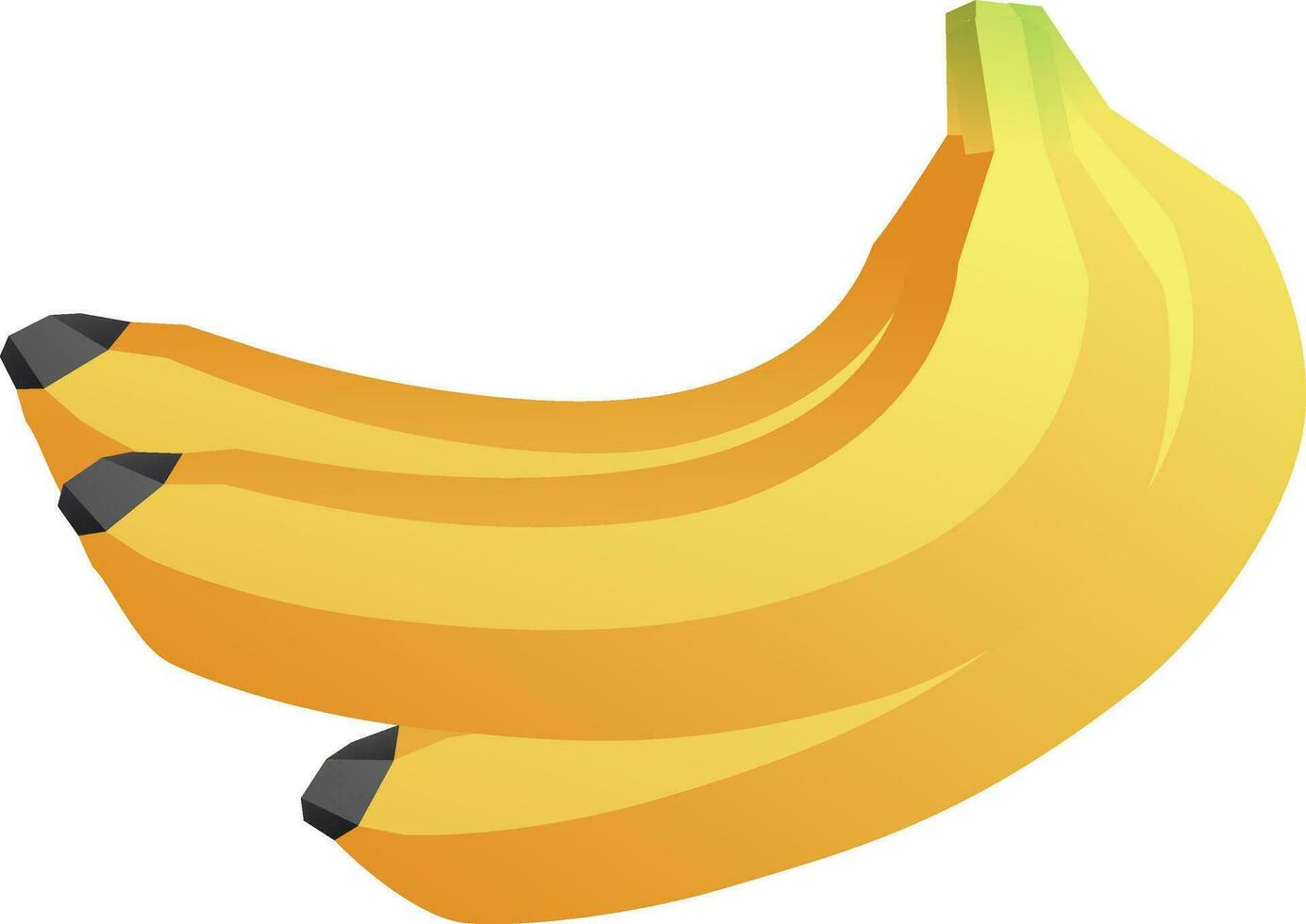 Isolated illustration of banana bunch. vector