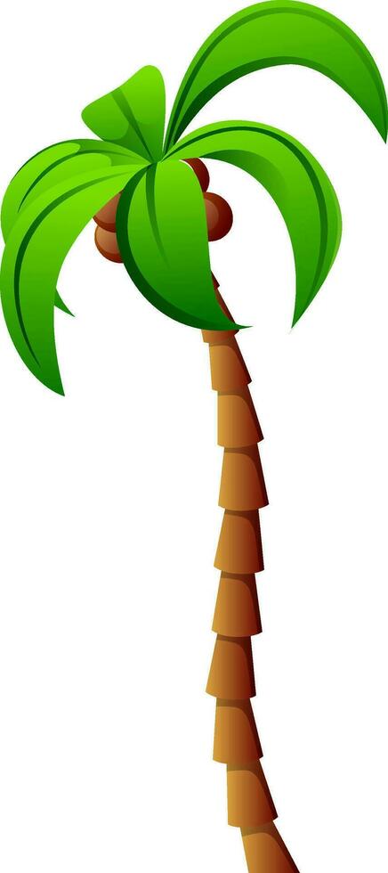 Isolated illustration of coconut tree. vector