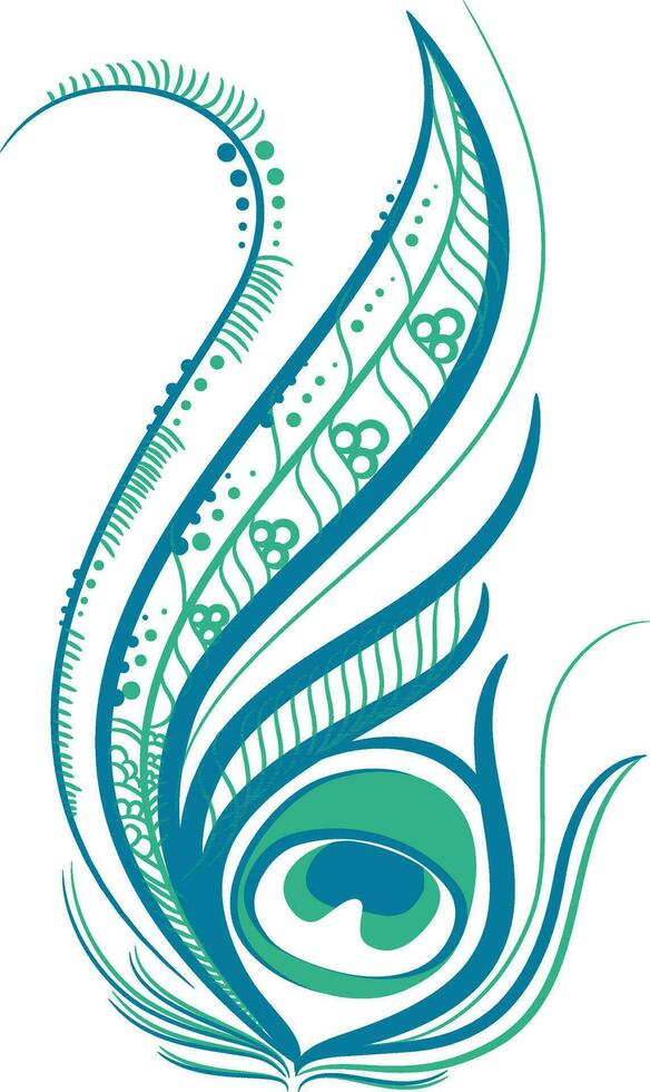 Green and blue peacock feather design. vector