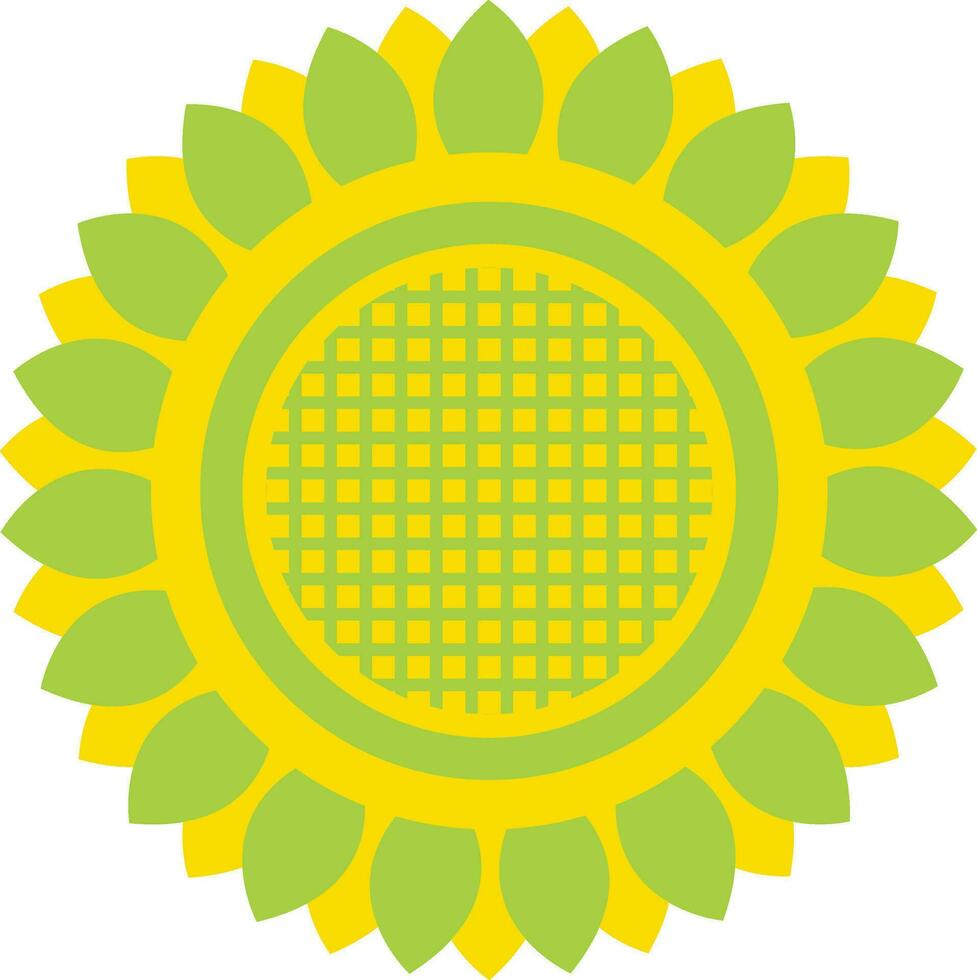 Green and yellow color of sunflower icon in illustration. vector