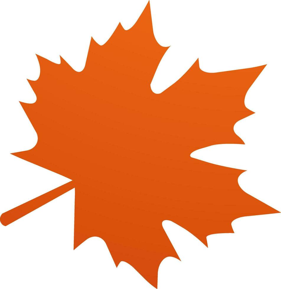 Isolated Maple or Autumn leaf. vector