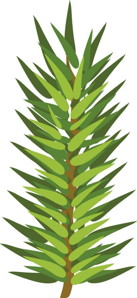 Isolated fir tree branch in green color. vector