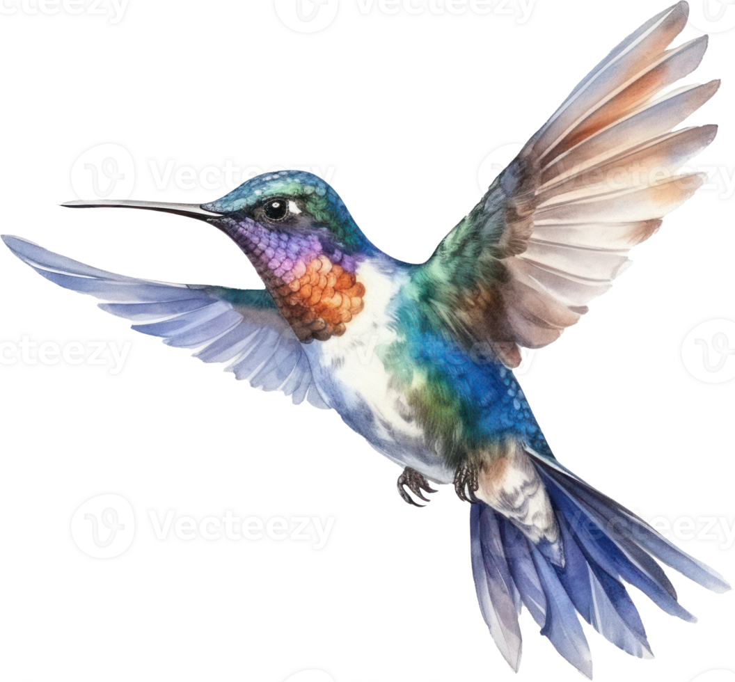 Bird hummingbird Watercolor Illustration. AI Generated png